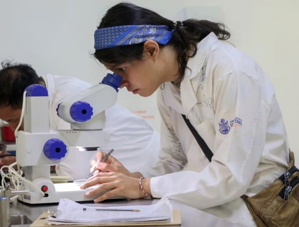 Destinará Concyteq 8 mdp a proyectos de investigación