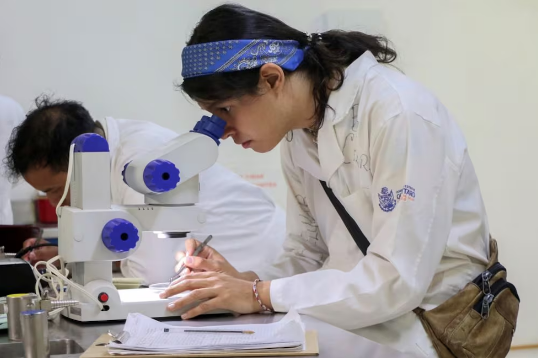 Destinará Concyteq 8 mdp a proyectos de investigación