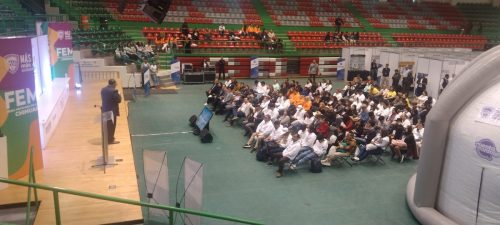 IMG 20250312 125356